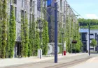 Is Following BREEAM Guidelines Always the Smart Choice?