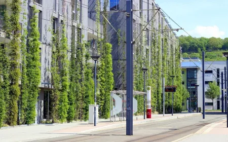 Is Following BREEAM Guidelines Always the Smart Choice?