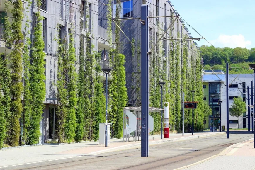 Is Following BREEAM Guidelines Always the Smart Choice?
