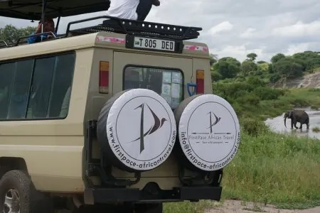 FirstPace African Travel