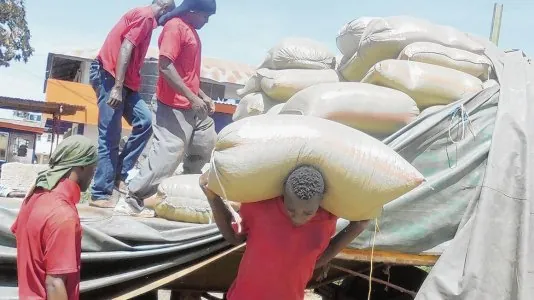 Divine Maize Corn Suppliers Uganda 3