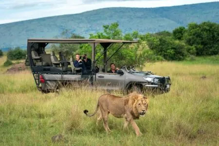 Safaris Rwanda