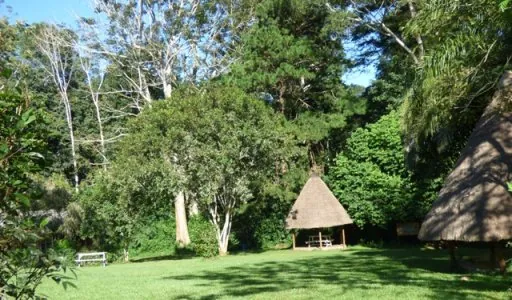 Mpanga Forest Eco-Tourism Site