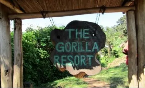 The Gorilla Resort