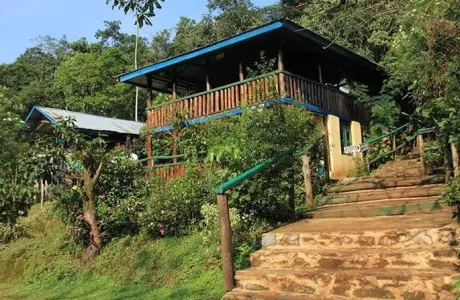 Bwindi View Rest Camp