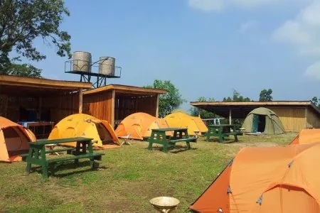 Nkuringo Gorilla Campsite