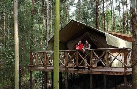 Heritage Lodge