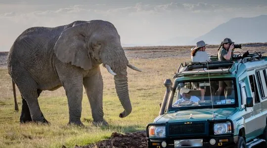 Car Rental Uganda - By Techsys Autos