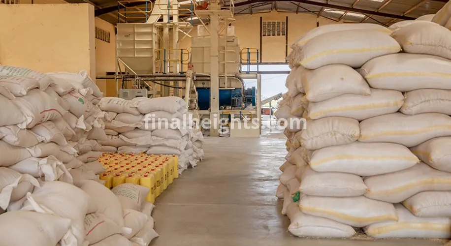 Divine Maize Corn Suppliers Uganda