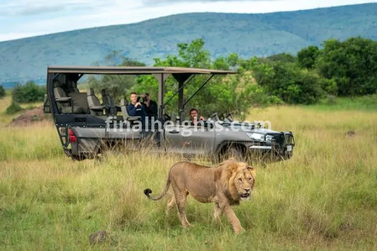 Safaris Rwanda