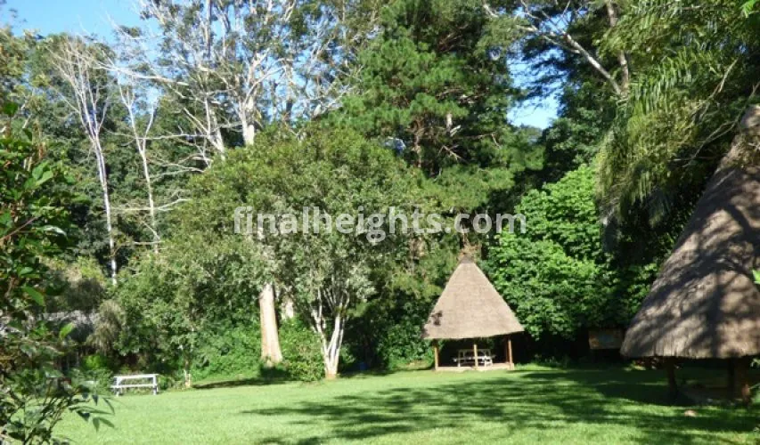 Mpanga Forest Eco-Tourism Site