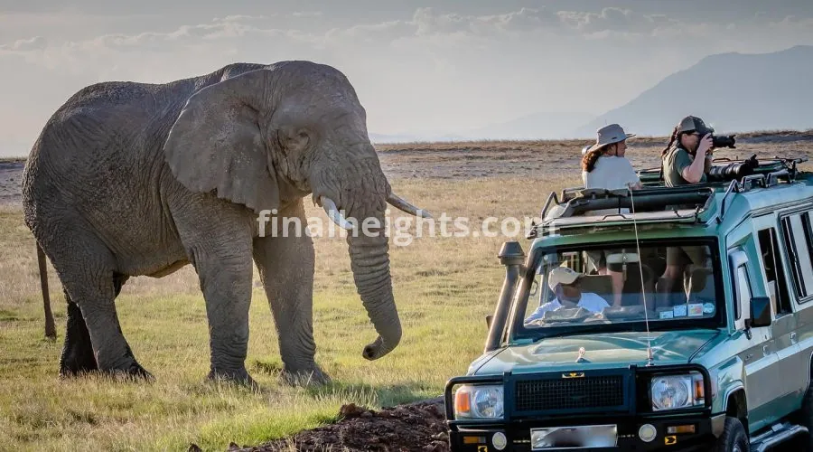 Car Rental Uganda - By Techsys Autos