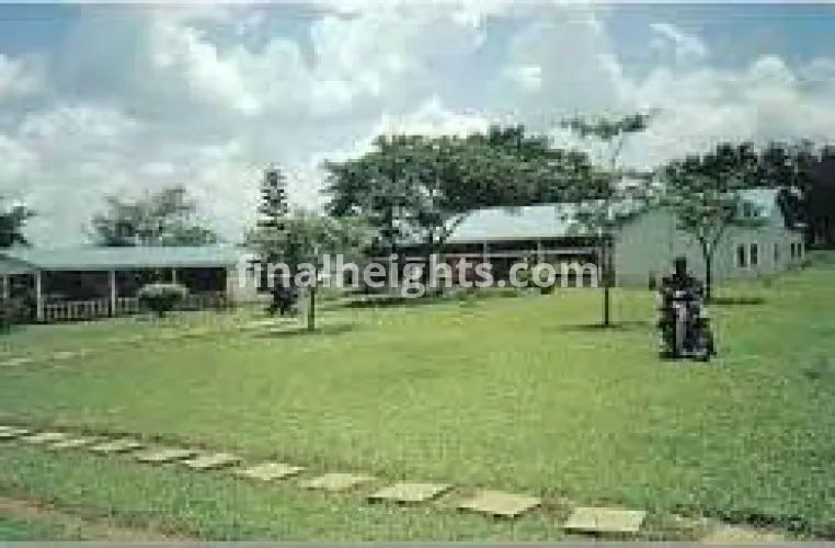 African Village Guest Farm