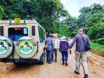 Paradise Adventure Vacations - Gorilla Trekking in Uganda