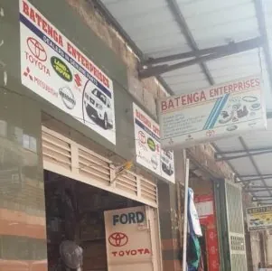 BATENGA ENTERPRISES LTD
