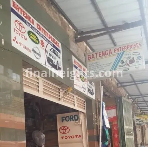 BATENGA ENTERPRISES LTD