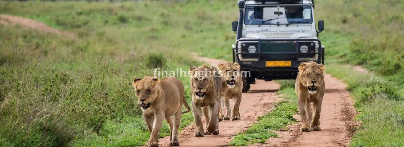 Aga Safaris | East African Safaris
