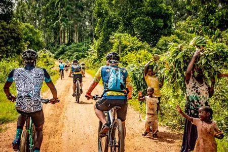 Tour De Gorilas Africano