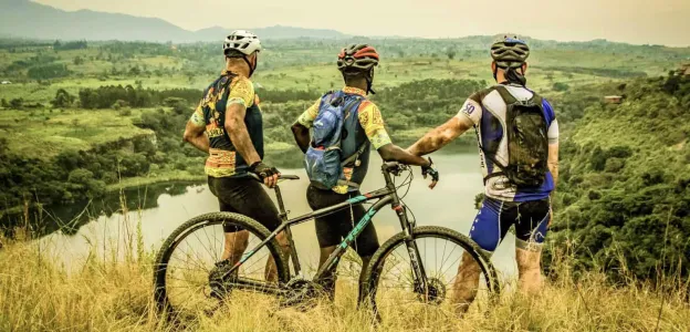 Tour De Gorilas Africano