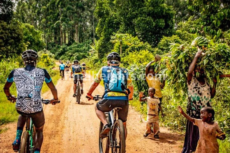 Tour De Gorilas Africano