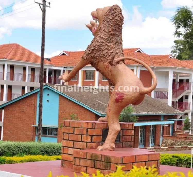 BUDO JUNIOR SCHOOL