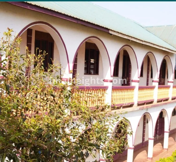 PALACE JUNIOR ACADEMY
