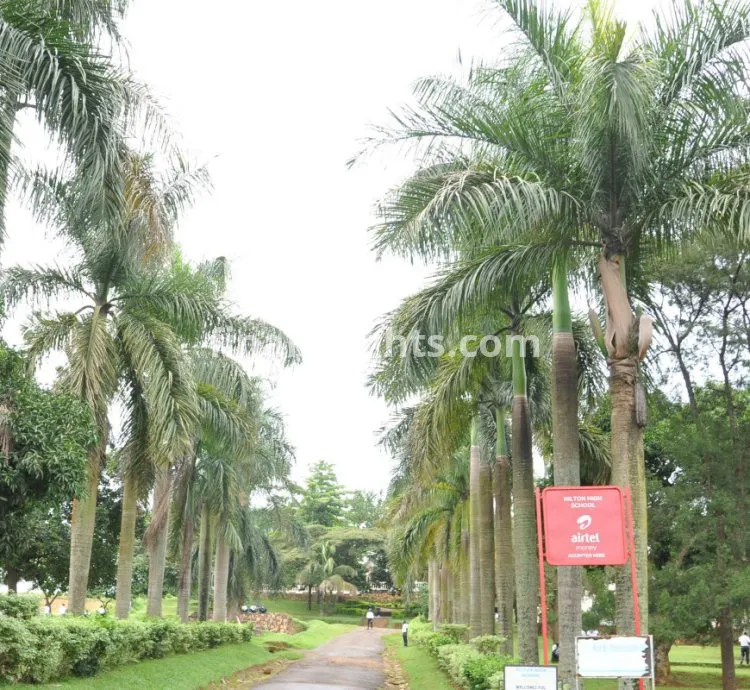 Hilton High School Mukono