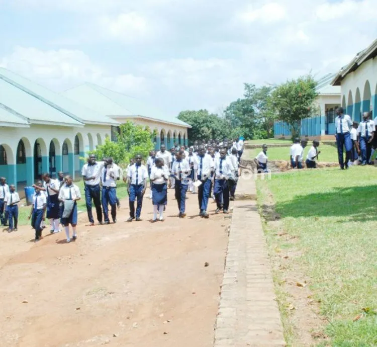 SPRINGFILED HIGH SCHOOL - MATUGA