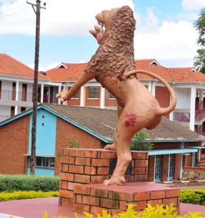 BUDO JUNIOR SCHOOL
