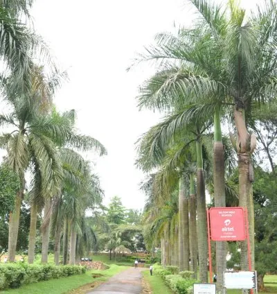 Hilton High School Mukono