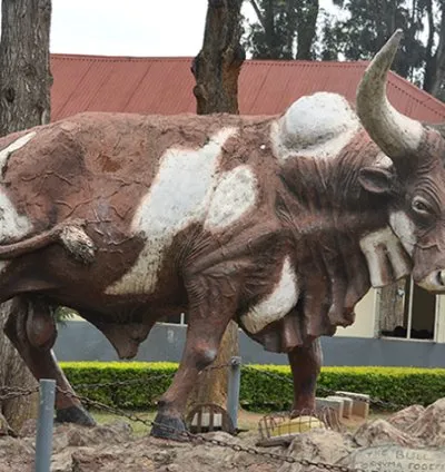 MBARARA HIGH SCHOOL
