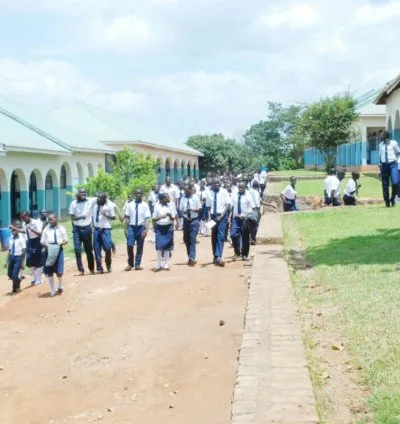 SPRINGFILED HIGH SCHOOL - MATUGA