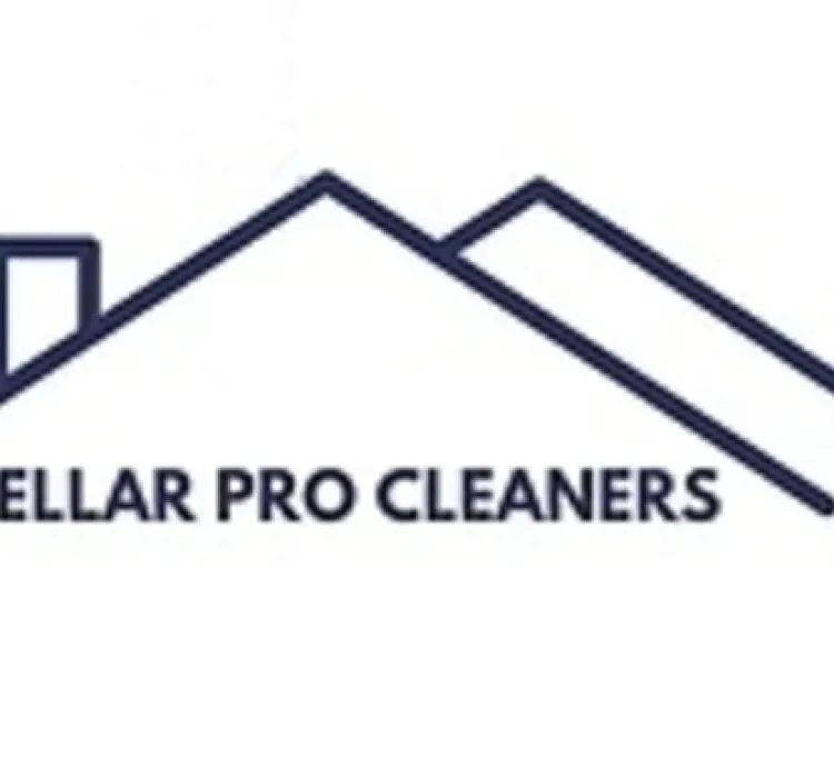 stellarprocleaners