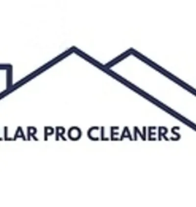 stellarprocleaners