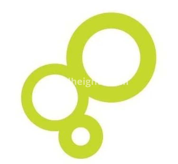 Data Image Group Ltd