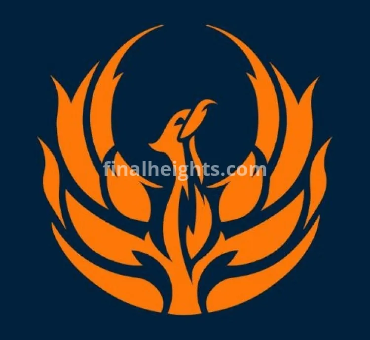 Fenix Insight