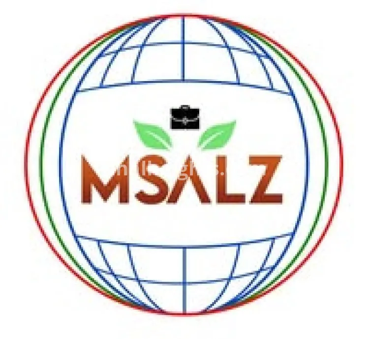 msalzsalt