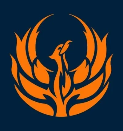 Fenix Insight