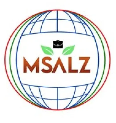 msalzsalt