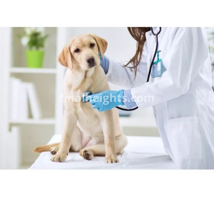 Park Hills Animal Hospital