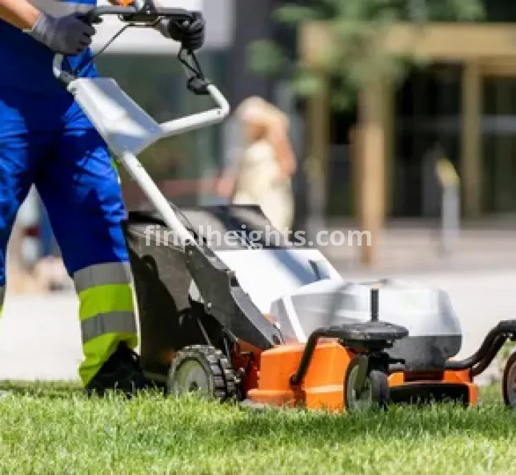 Residential Lawn Maintenance Services In Miami Shores, FL