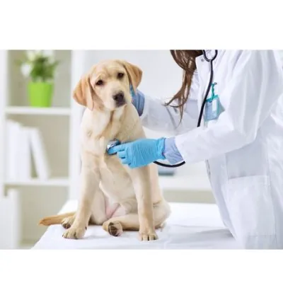 Park Hills Animal Hospital