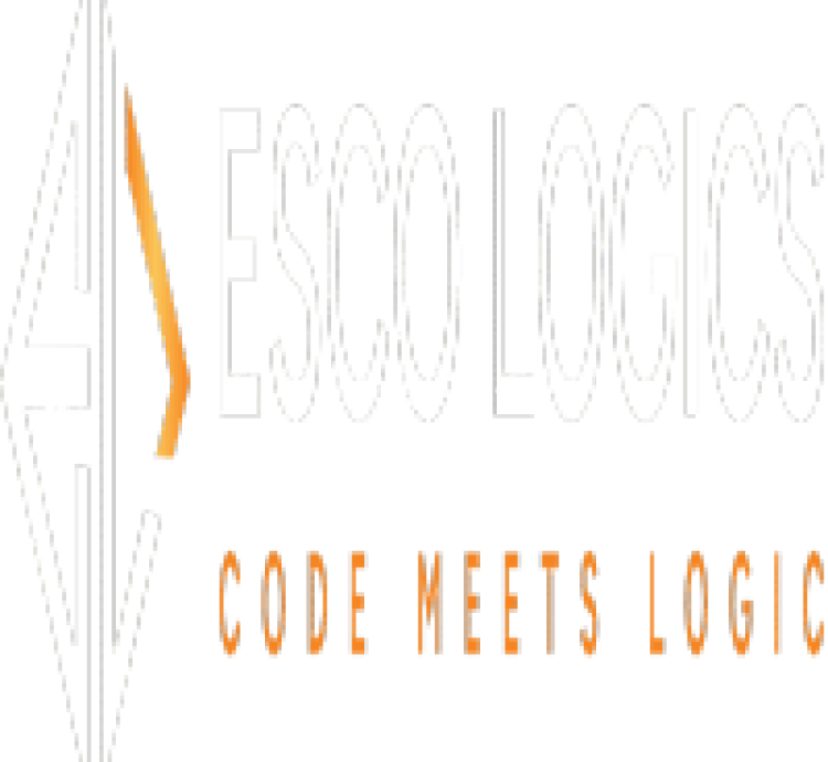 #1 SEO Agency in Cape Coral | Esco Logics