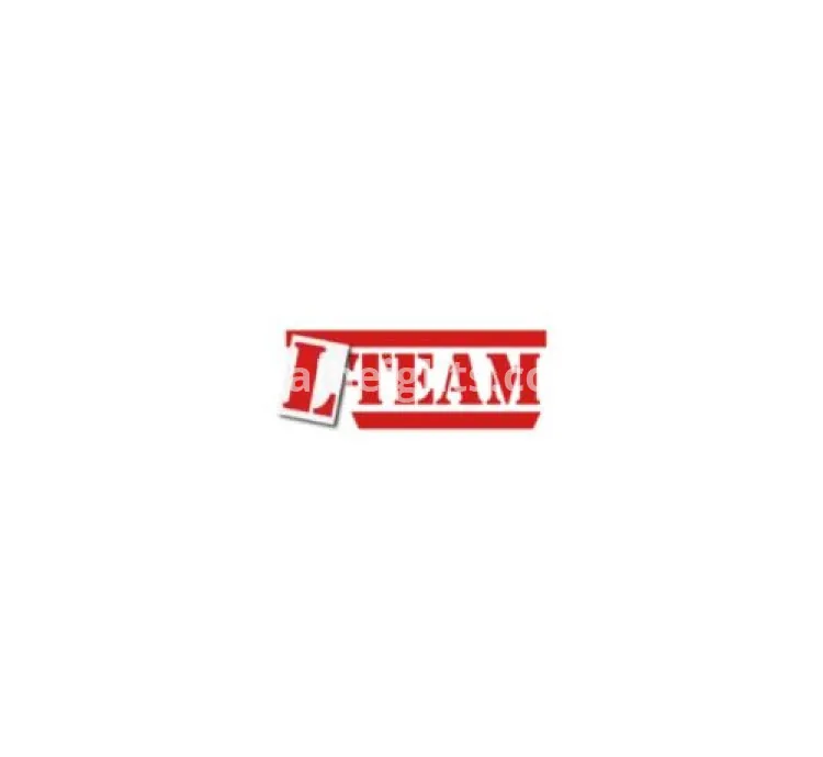 L TEAM DRIVING SCHOOL