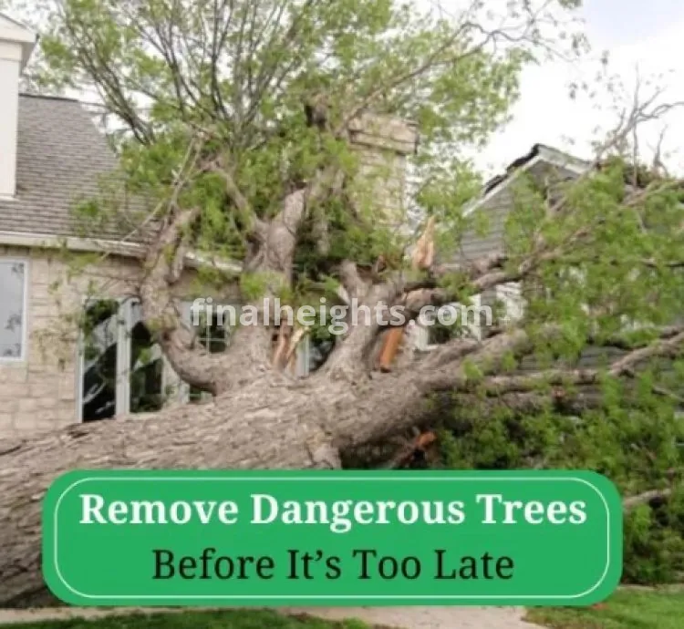 The Treeminator LLC