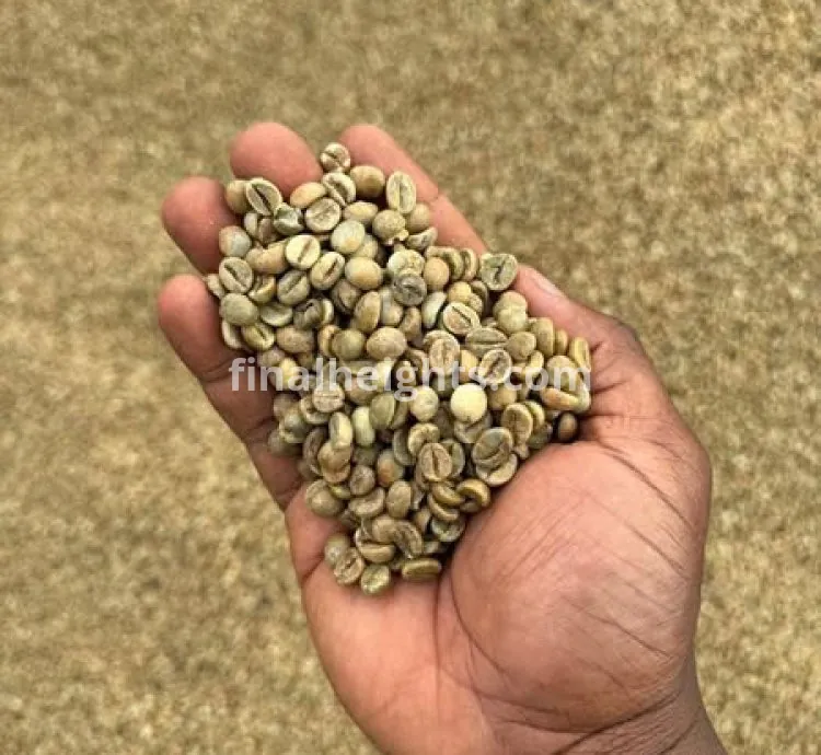coffee beans ready for export +27719755564