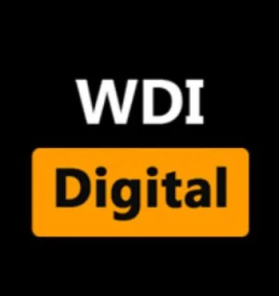Website Developer India 1