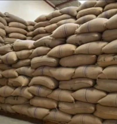 coffee beans ready for export +27719755564