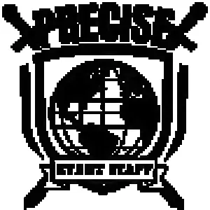 Precise Global Protection Services