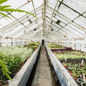 Vego Garden